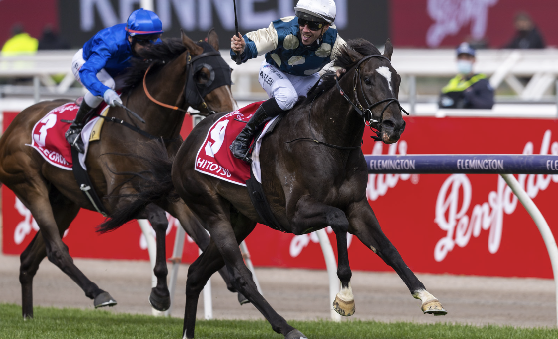 Magic Millions 2026 First Season Sires